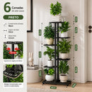 Suporte para Plantas de 6 Níveis - Florali
