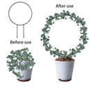 Arco decorativo para suporte de planta - PlantStake