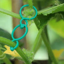 Suportes Clipes De Cintas Para Plantas  - Plant Holder