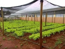 Sombrite para Horta Premium Disponíveis nas Densidades 50, 80 e 100