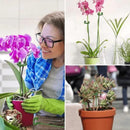 Suas Plantas Mais Grandiosas e Vivas -  Suportes PlantLife™ (Perfeito para Orquídeas, Flores e Rosas)