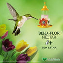 Néctar Para Beija Flor - Florali