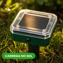 Repelente de Pássaros Solar Ultrassônico - SENTRIK™ Florali