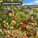 Repelente de Pássaros Solar Ultrassônico - SENTRIK™ Florali